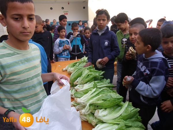 sooqelzahra2lud602 (37).JPG